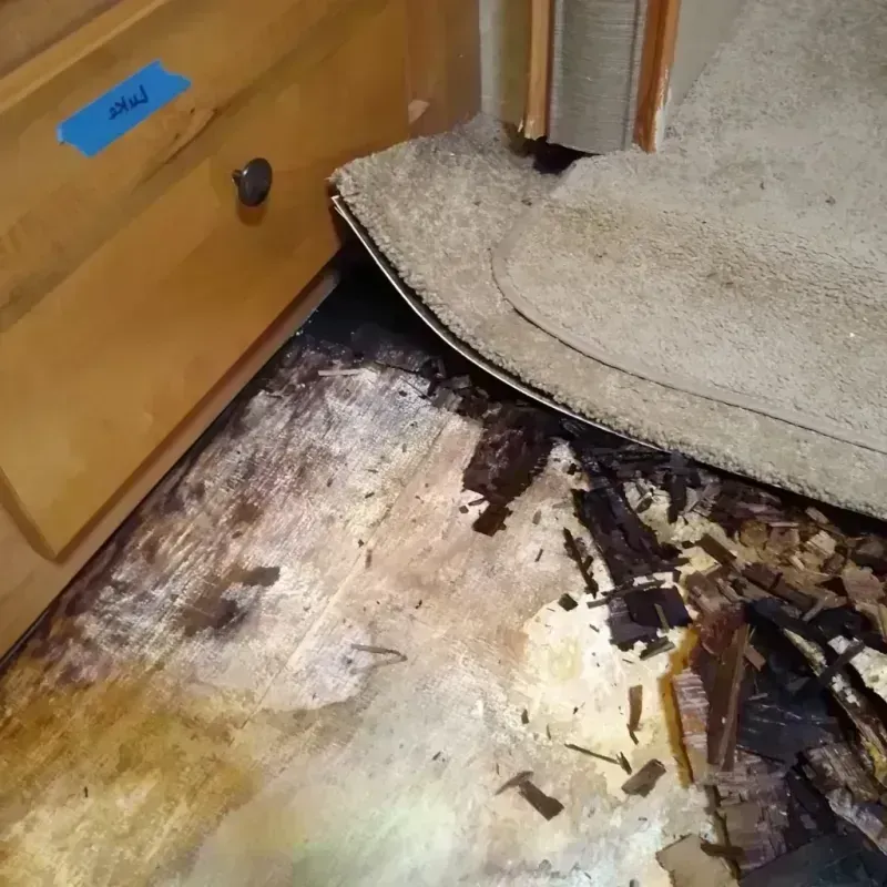 Wood Floor Water Damage in Ashburn, VA